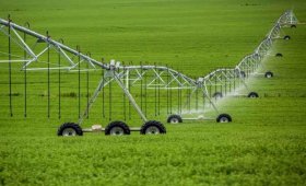 water-management-The-most-important-issue-in-the-implementation-of-the-cultivation-model