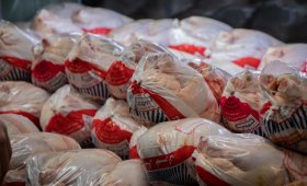 15-000-tons-of-frozen-chicken-were-purchased-from-poultry-farmers-for-strategic-reserves