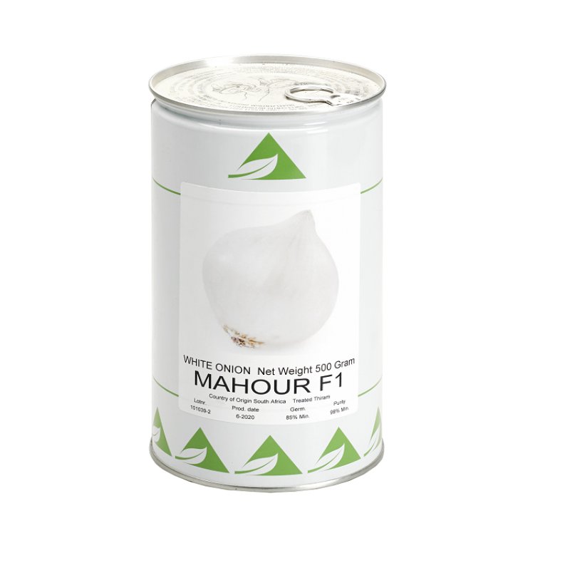 MAHOUR-F1-white-onion-seed-holand-zaden-500-gr