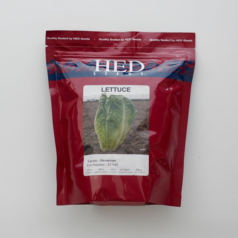 بذر-کاهو-هرمیون-هد-آمریکا-استاندارد 