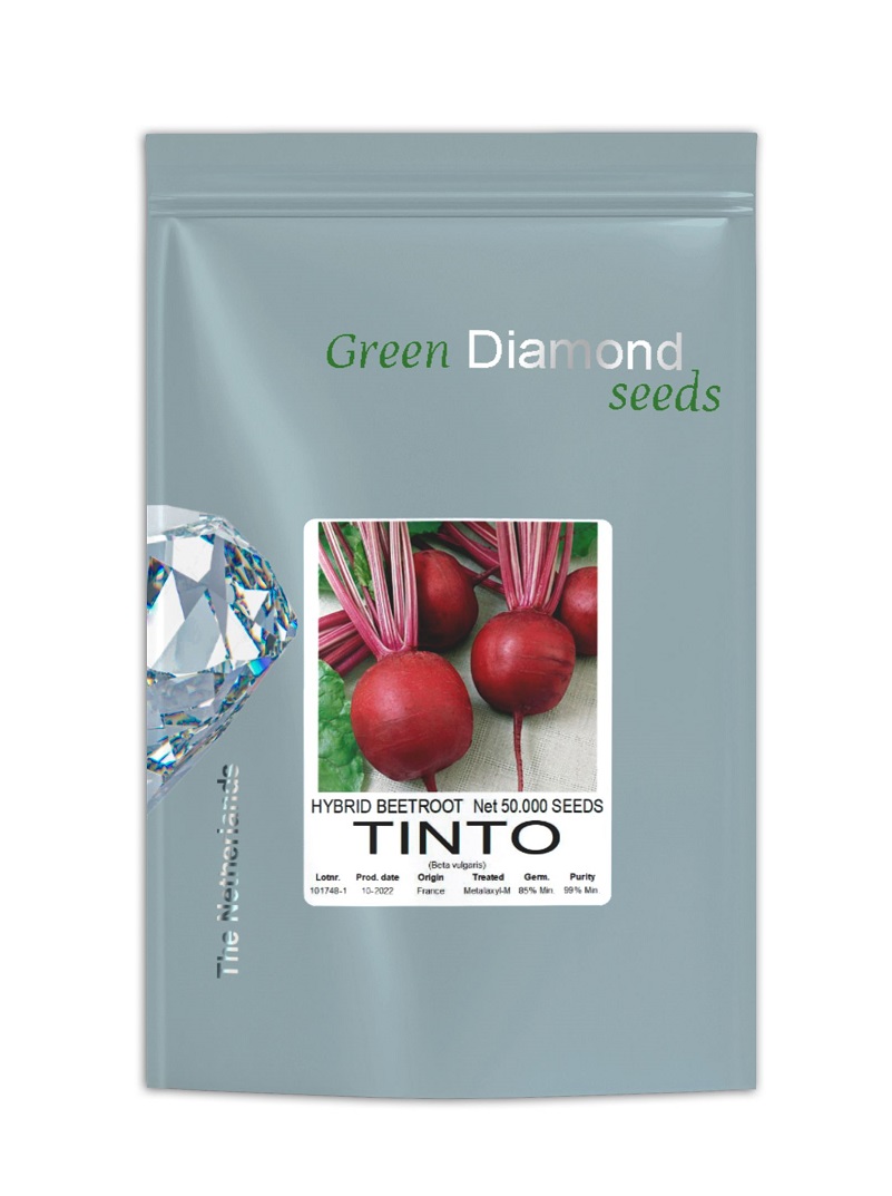 TINTO-F1-beet-root-seed-geen-diamond 