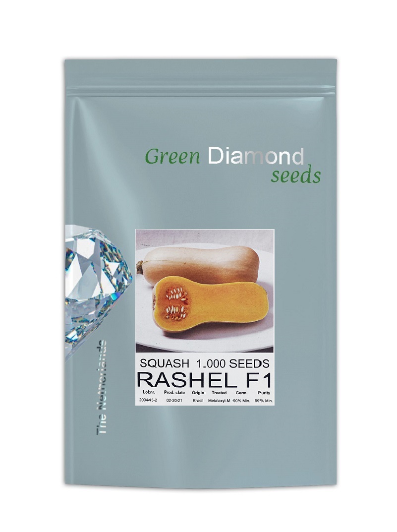 RASHEL-F1-squash-seed-green-diamond 