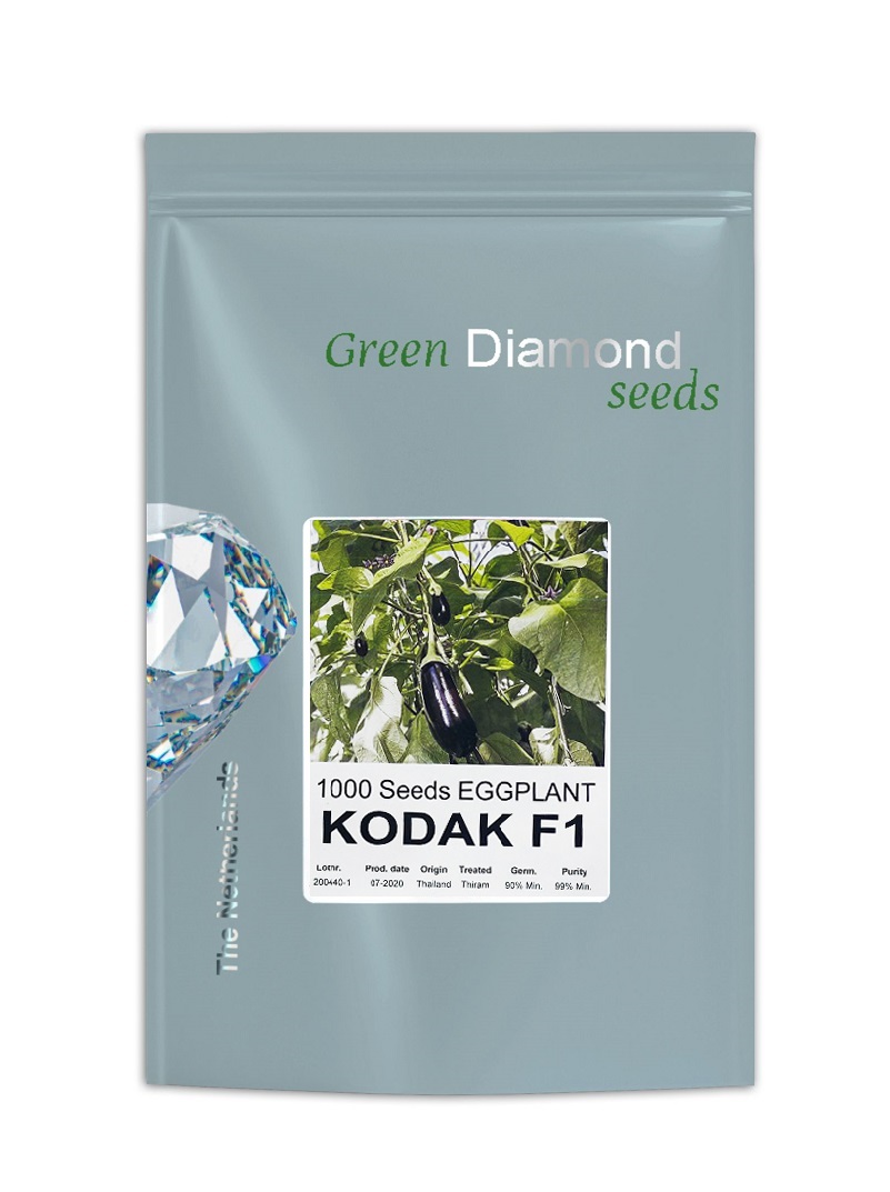 KODAK-EGGPLANT-F1-seed-green-diamond
