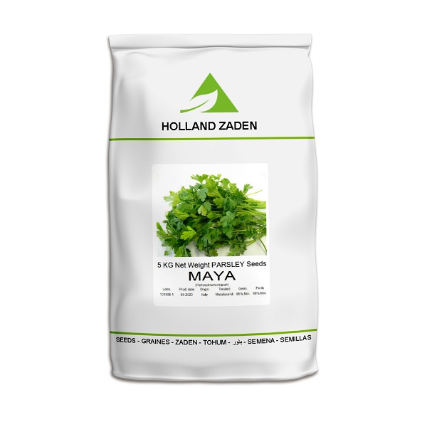 MAYA-parsley-seed-holand-zaden-5-kg 
