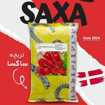 SAXA-standard-radish-seed 