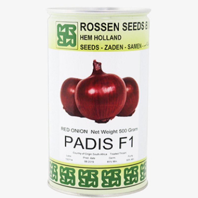 PADIS-red-onion-seed-rossen-seed-500-gr