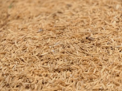 پوست برنج(rice husk)