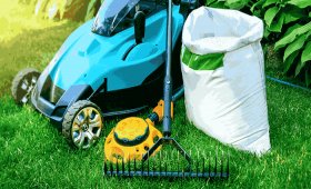 The-importance-of-choosing-the-right-grass-seed-for-lawn-success