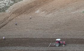 Key-points-about-the-time-and-cultivation-of-dry-wheat