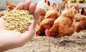 The-price-of-all-kinds-of-livestock-inputs-and-agricultural-products-on-ABAN-10-1403