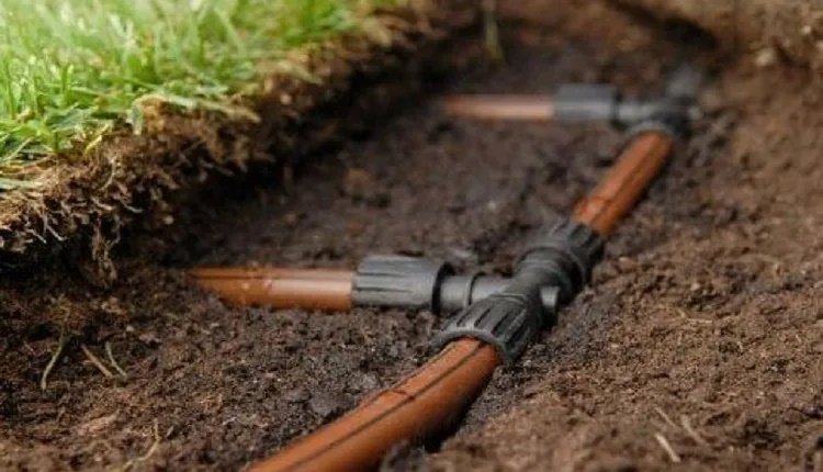 7 مزیت برتر «آبیاری زیرسطحی» + راهکارهای عملی برای کشاورزان حرفه‌ای