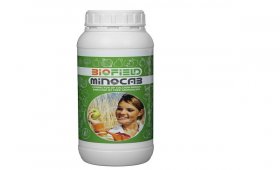 6-Key-Roles-of-the-Effect-of-Biofield-Minocab-Calcium-Fertilizer-on-Fruit-Quality